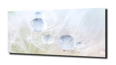 obraz na szkle, panel szklany Dmuchawce 27 