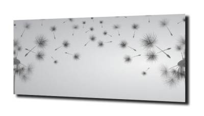 obraz na szkle, panel szklany Dmuchawce 30 