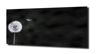 obraz na szkle, panel szklany Dmuchawce 42 