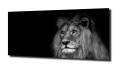 e10a967542904444389061e5a89aff90