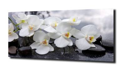 obraz na szkle, panel szklany Orchidea 7  