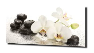 obraz na szkle, panel szklany Orchidea 20 