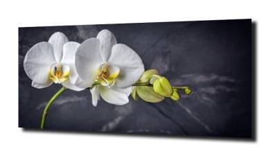 obraz na szkle, panel szklany Orchidea 22 