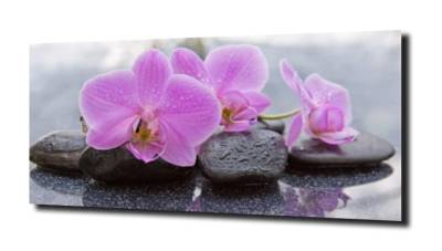 obraz na szkle, panel szklany Orchidea 26 