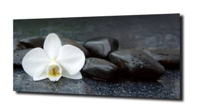 obraz na szkle, panel szklany Orchidea 32 