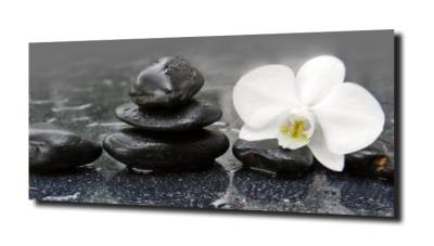 obraz na szkle, panel szklany Orchidea 48 