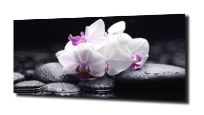 obraz na szkle, panel szklany Orchidea 65 