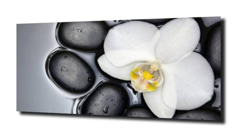 2ac74cfca261866e1d203329329dcadd