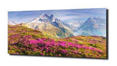 obraz na szkle Tatry zza doliny krokusów 