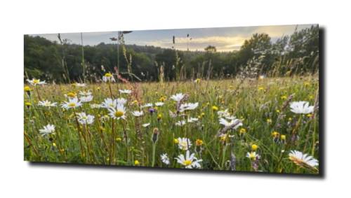 b55d0acb72efcd6363c248acd552791b