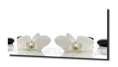 obraz na szkle, panel szklany Orchidea 4 