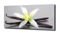 39101eeed75a4bb35fc0cea8d722dcea