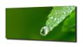 89eb2a6e68a78a796b01fa6295dc1734