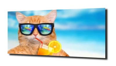 obraz na szkle Śmieszny kot drink plaża 