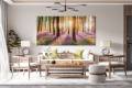 4213a936f47c705fdc46e79c924f3ce3