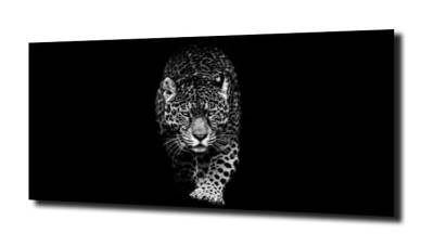 obraz na szkle, Panel szklany Jaguar 4 