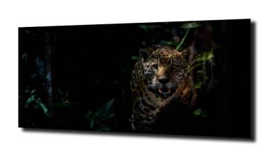 obraz na szkle, Panel szklany Jaguar 9 