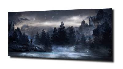 obraz na szkle Gwiazdy nad lasem nocą 