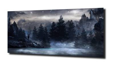 obraz na szkle Gwiazdy nad lasem nocą 