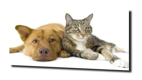 e71feeefa5fd7dbd92855937893c4380