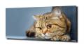 151c223c56b6468ef2ef0f60315c3590