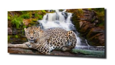 obraz na szkle Jaguar wodospad rzeka 