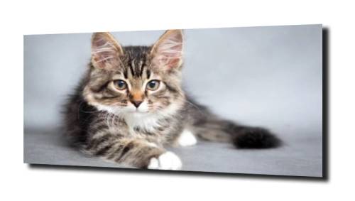 c47adcb8103e52d13331bde36d90f7ae