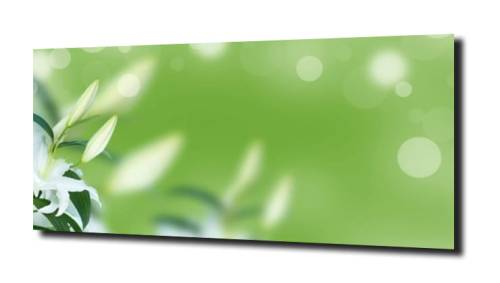 3cc3e2eb3b063a6748e1a8b8ea79ca45