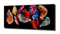 1e5809778dd1eedad5da2d4358c1ee45