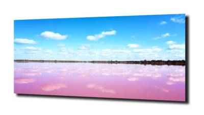 obraz na szkle Water of Pink Lake 