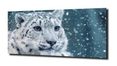 obraz na szkle Lampard w płatkach 