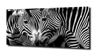 obraz na szkle Zebra czarno białe 