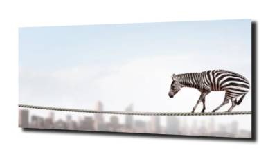 obraz na szkle Zebra nad miastem 