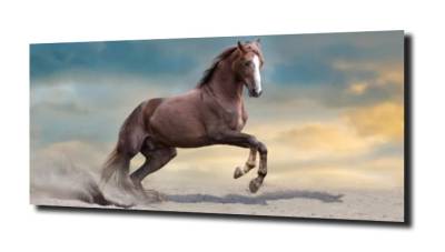 obraz na szkle Koń zwierzę galop 