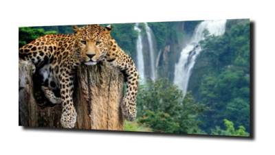 obraz na szkle Jaguar wodospad 