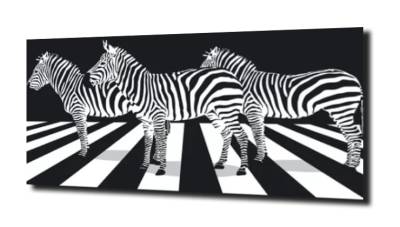 obraz na szkle Zebra na pasach 