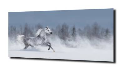 obraz na szkle Koń galop śnieg 