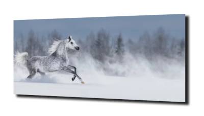 obraz na szkle Koń galop śnieg 