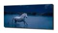 e771da0d7573792efe1d6042bdc1efa1