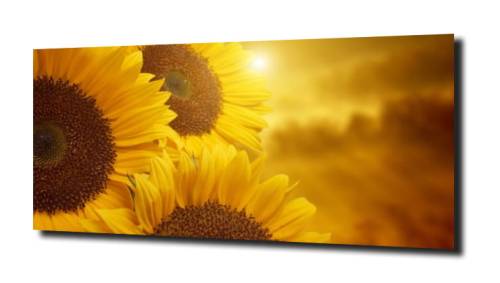32c98f5ee675e858f3b95cd176347f52