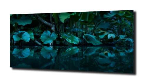 1208659c110547211651ddc8c5d00c8b